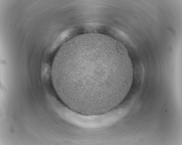 X0000091340038200708101451