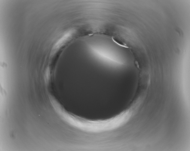 X0000091340039200708101451