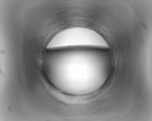 X0000091340040200708101451