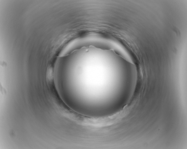 X0000091340041200708101451