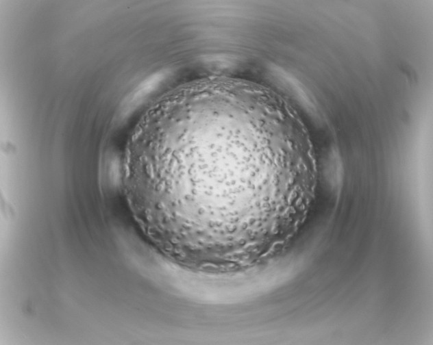 X0000091340042200708101451