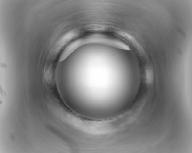 X0000091340044200708101451