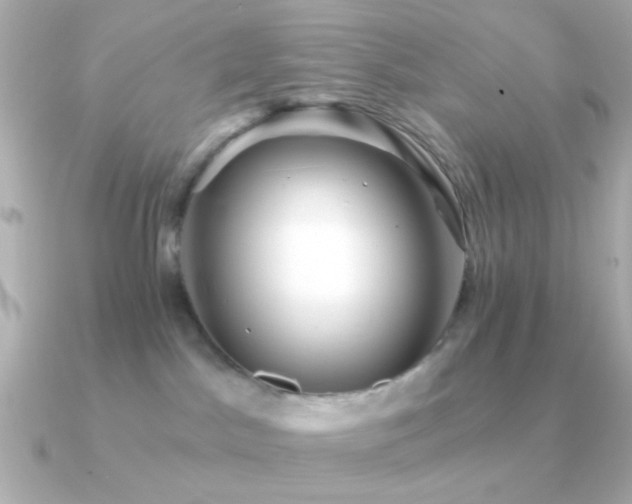 X0000091340045200708101451