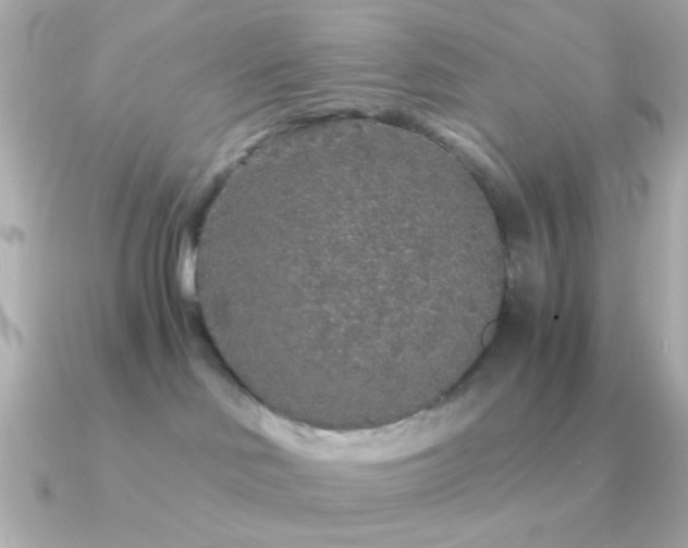 X0000091340046200708101451