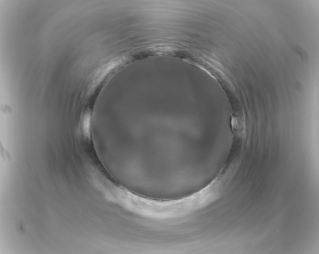 X0000091340047200708101451