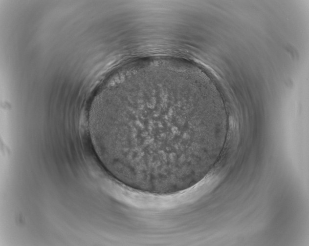 X0000091340048200708101451