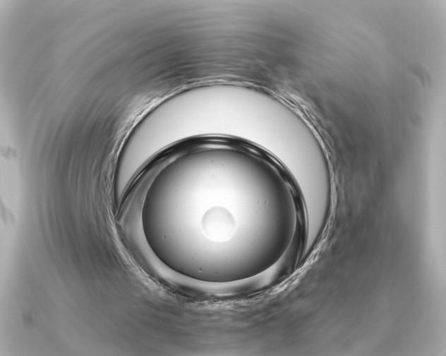 X0000091340049200708101451