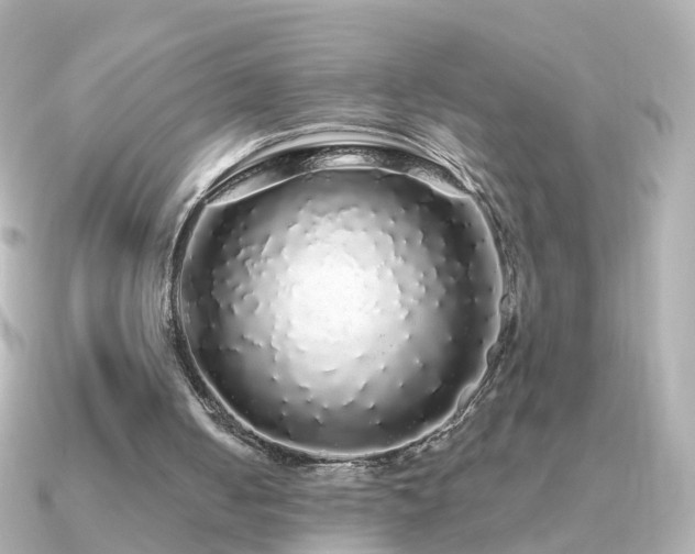 X0000091340050200708101451