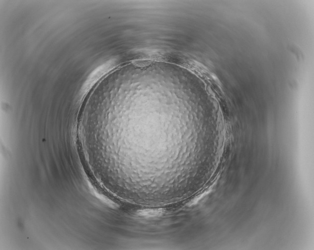 X0000091340051200708101451