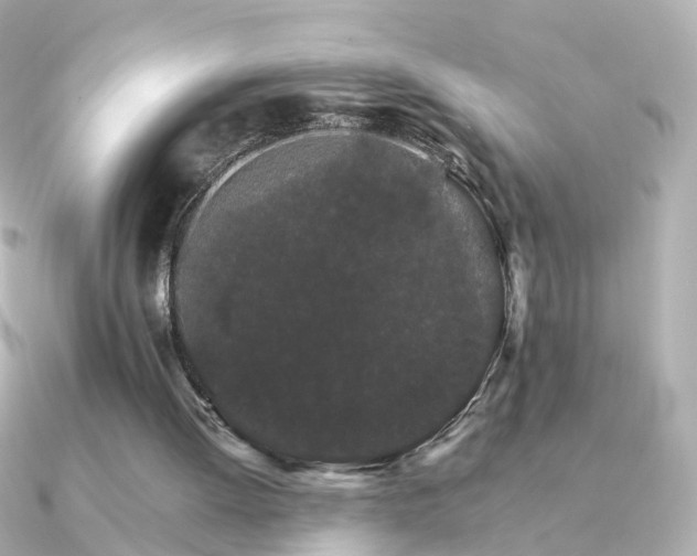 X0000091340052200708101451