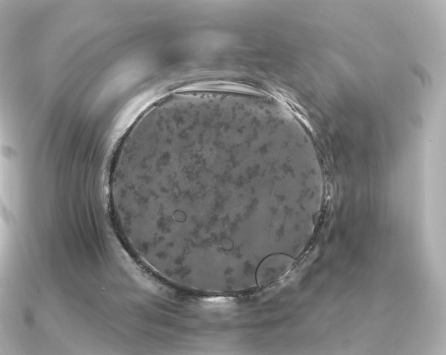 X0000091340053200708101451