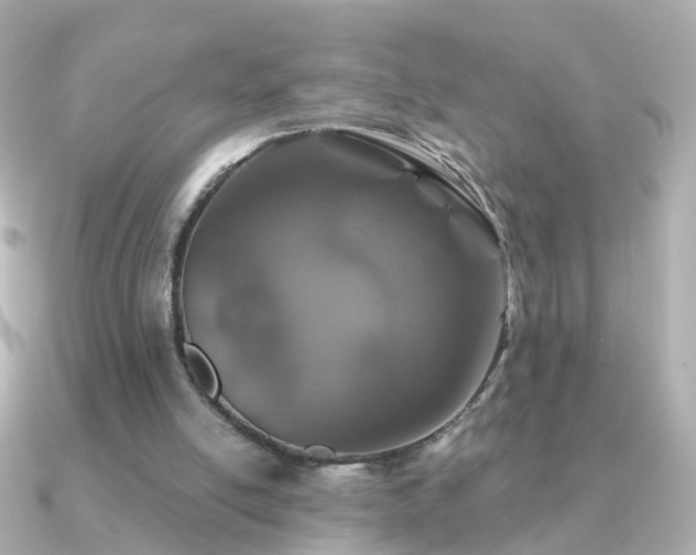 X0000091340054200708101451
