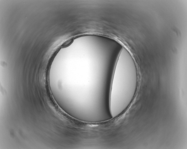 X0000091340055200708101451