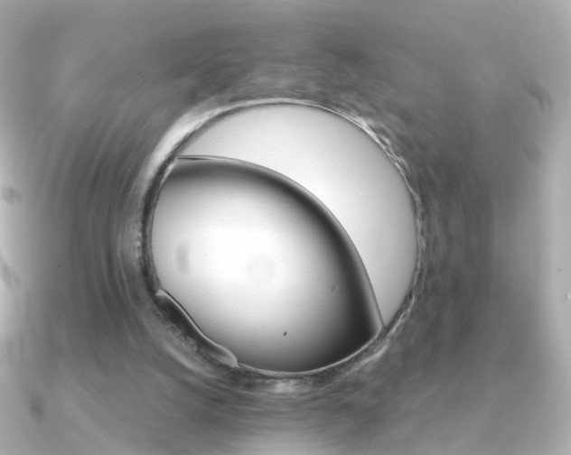 X0000091340056200708101451