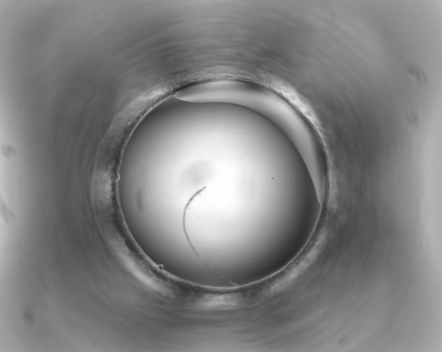 X0000091340057200708101451