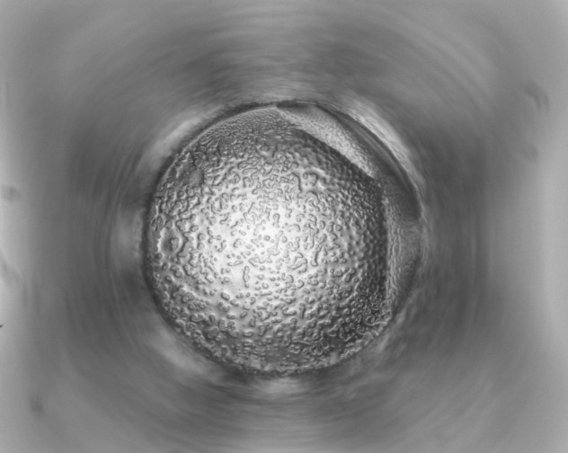 X0000091340058200708101451