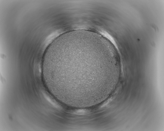 X0000091340059200708101451
