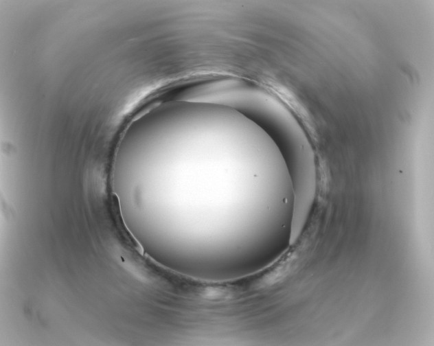 X0000091340060200708101451