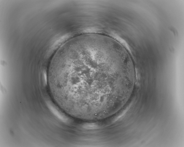 X0000091340061200708101451