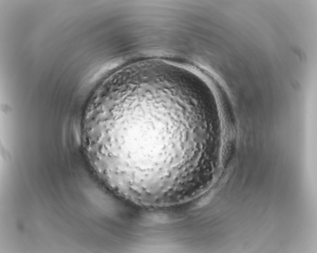 X0000091340062200708101451