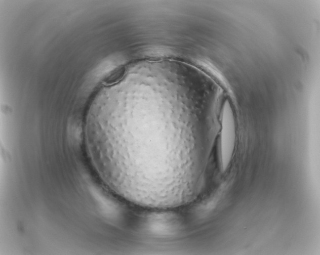 X0000091340063200708101451