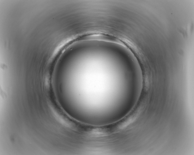 X0000091340064200708101451