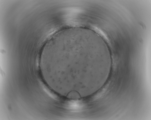 X0000091340065200708101451