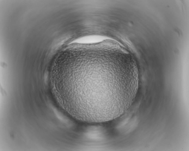 X0000091340066200708101451