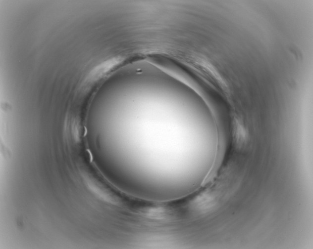 X0000091340068200708101451