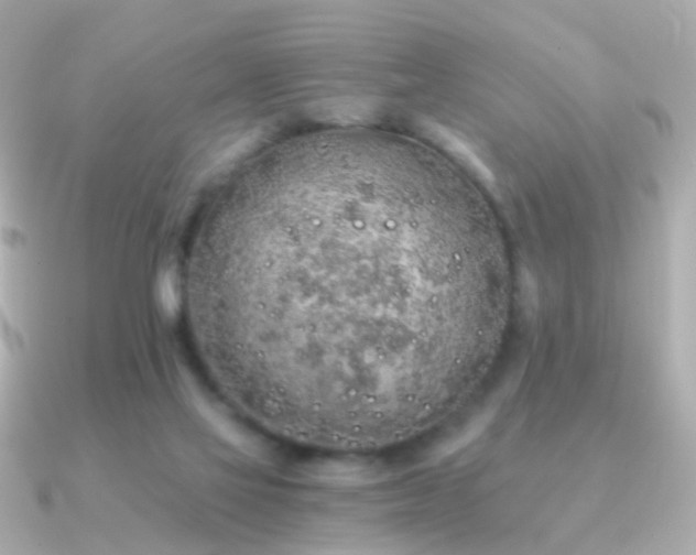 X0000091340069200708101451