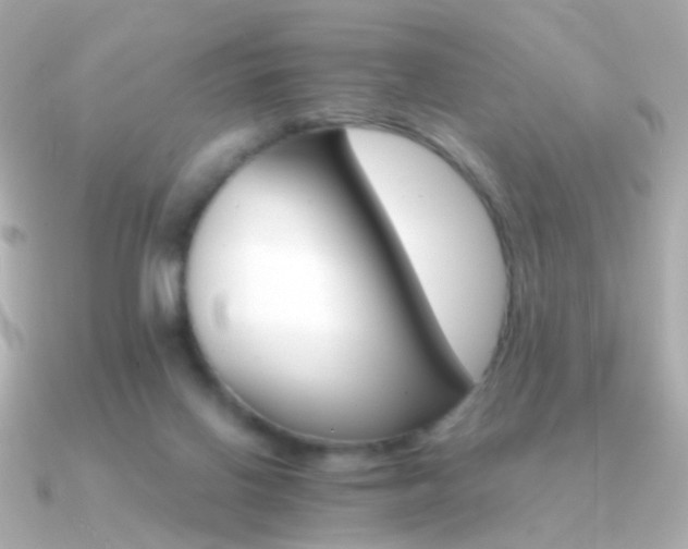 X0000091340070200708101451