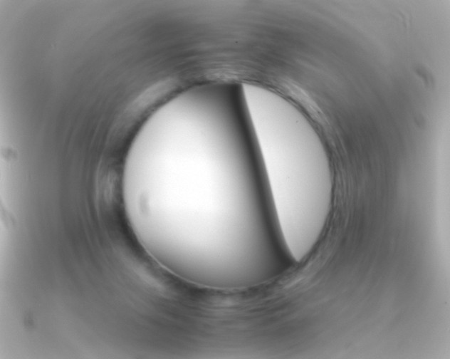 X0000091340071200708101451