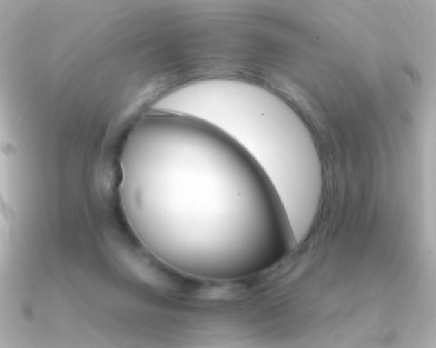 X0000091340072200708101451