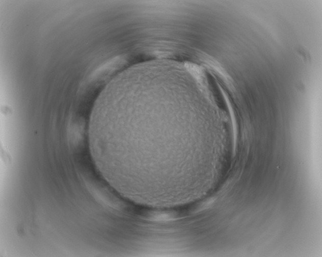 X0000091340073200708101451