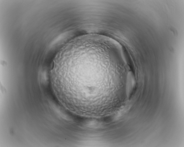 X0000091340074200708101451