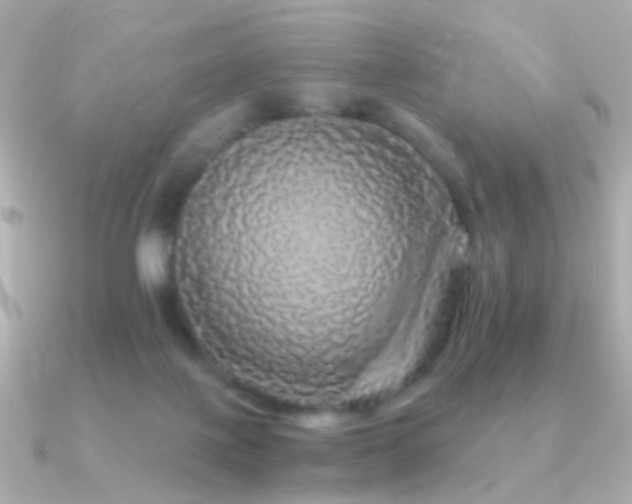 X0000091340075200708101451