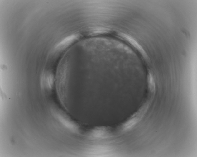 X0000091340076200708101451