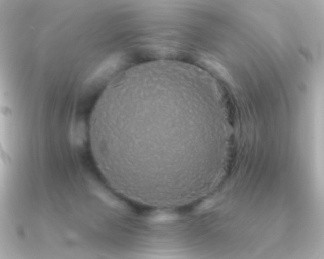 X0000091340077200708101451