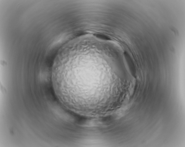 X0000091340078200708101451