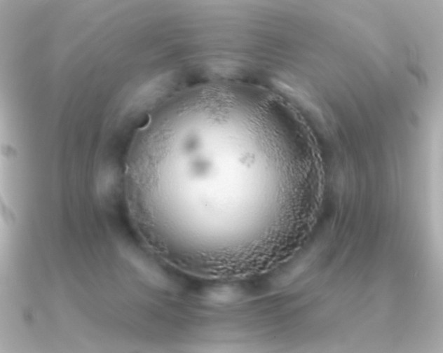 X0000091340079200708101451