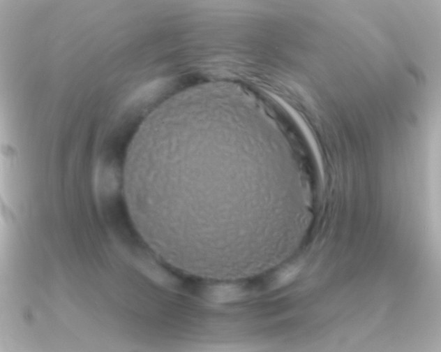 X0000091340081200708101451