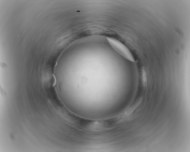 X0000091340082200708101451