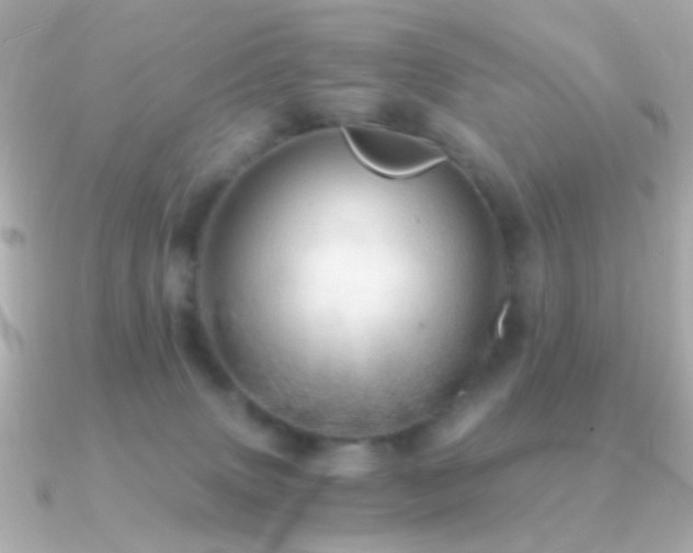 X0000091340083200708101451