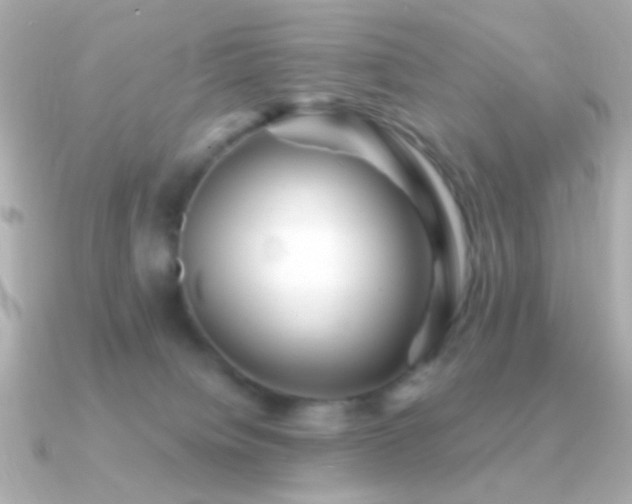 X0000091340084200708101451