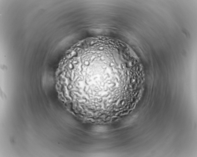 X0000091340085200708101451