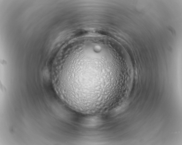 X0000091340086200708101451