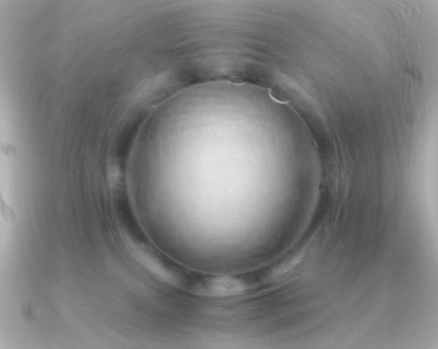 X0000091340087200708101451