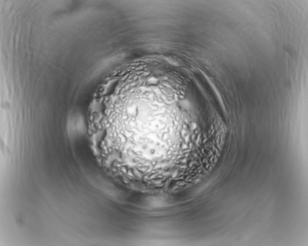 X0000091340089200708101451