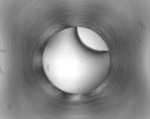X0000091340090200708101451
