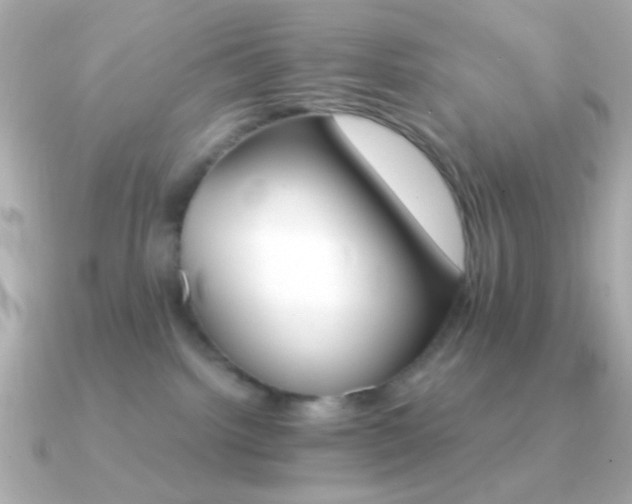 X0000091340092200708101451